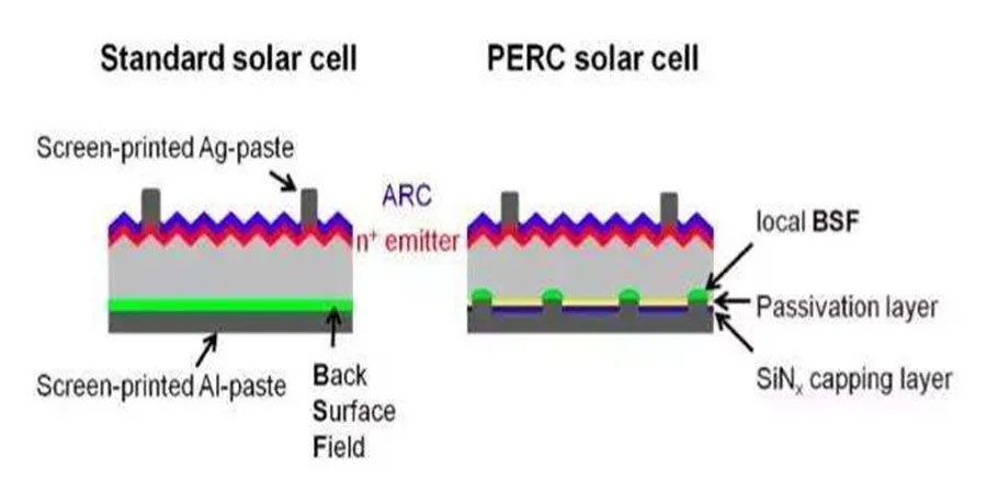 1590392002680854.jpg 1.jpg